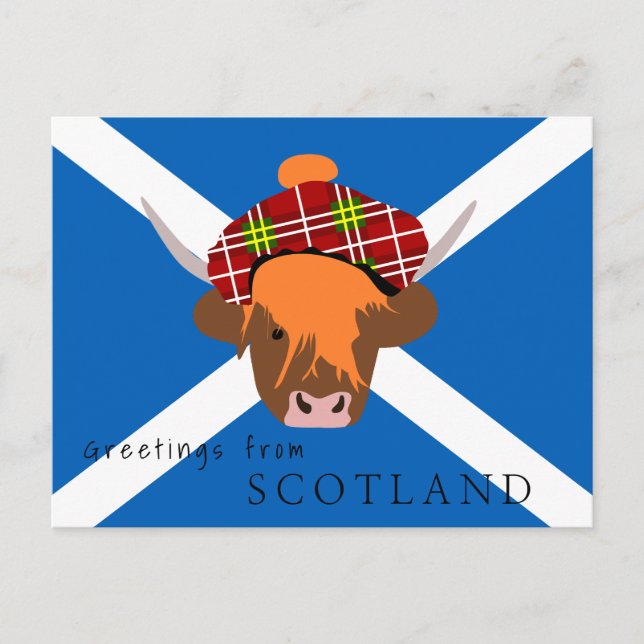 Cartão Postal Vaca de Highland escocesa com boné de tartan e ban (Frente)