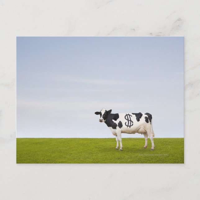 Cartão Postal Vaca de Holstein Dairy com manchas na forma de (Frente)