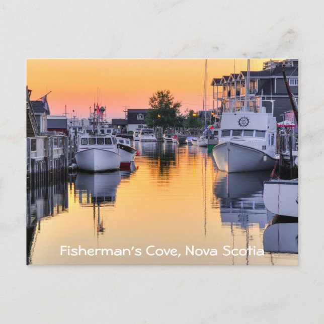 Cartão Postal Vaca dos pescadores, Passagem Oriental, Nova Escóc (Frente)