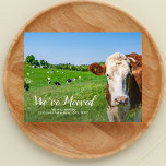 Cartão Postal Vaca Engraçada, Nova Casa, Endereço Personalizado,<br><div class="desc">Informe sua família e amigos que você se mudou e tem um novo endereço com este cartão-postal engraçado com uma vaca dizendo "Nós nos mudamos" - adicione uma nota personalizada e um novo endereço no verso. Engraçado,  moderno,  simples e fácil - o cartão móvel perfeito.</div>