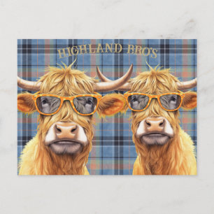 Cartão Postal Vaca Highland Divertida Vestindo Óculos de Sol