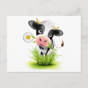 Cartão Postal Vaca Holstein na grama