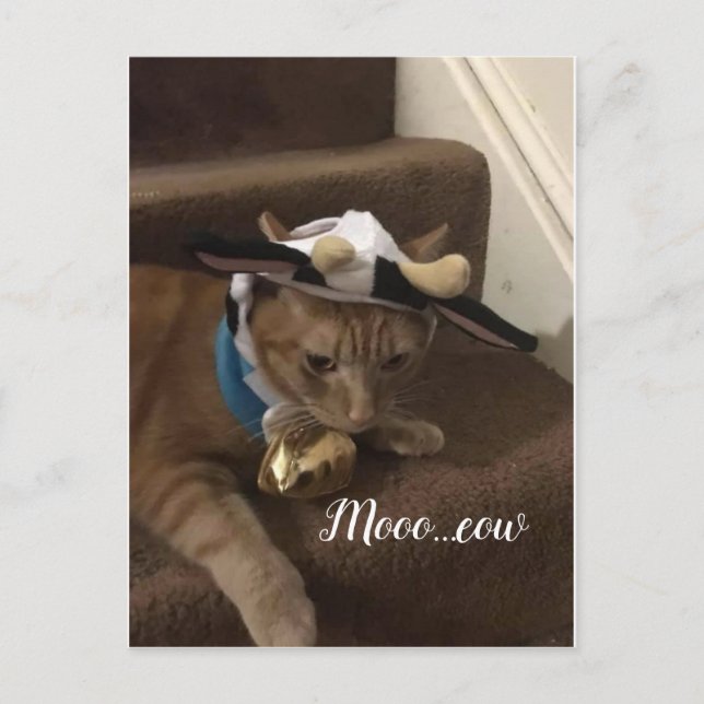 Cartão Postal Vaca Lancelot (Frente)