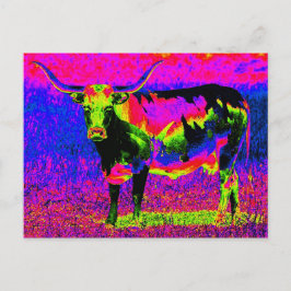 Cartão Postal Vaca Longhorn do Texas psicodélica