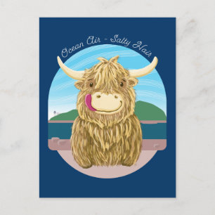 Cartão Postal Vaca Terrestre Escocesa Com Cabelo Salgado Oceano