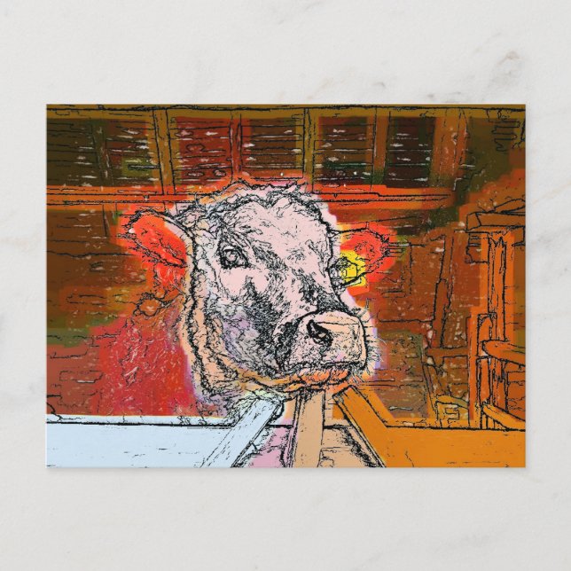 CARTÃO POSTAL VACAS (Frente)