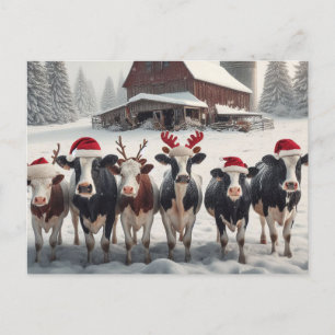 Cartão Postal Vacas de Natal engraçadas