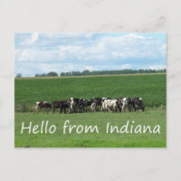 Vacas do Cartão-postal de Indiana