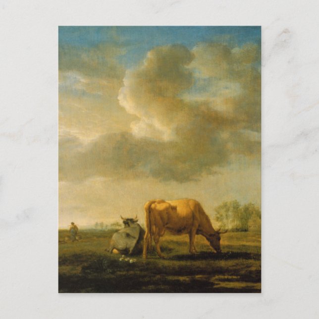 Cartão Postal Vacas em um Prado por Adriaen van de Velde (Frente)