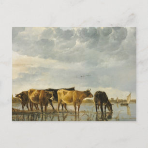 Cartão Postal Vacas em um rio Aelbert Cuyp