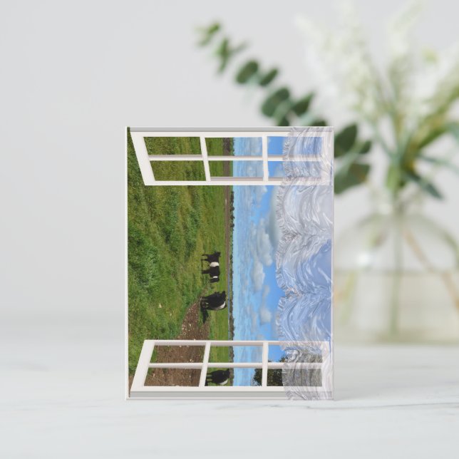 Cartão Postal Vacas Galloway através de uma janela, Cartão-posta (Em pé/Frente)