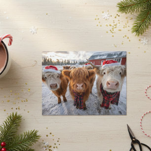 Cartão Postal Vacas Highland Natal Adoráveis na Neve
