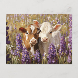 Cartão Postal Vacas Leiteiras Cujas Folhas De Tremoço