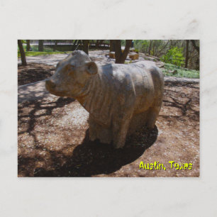 Cartão Postal Vacas no Arboretum