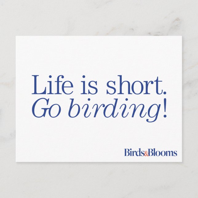 Cartão Postal Vai Aniversário! (Frente)