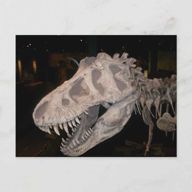 Cartão Postal Vai te comer! (Frente)