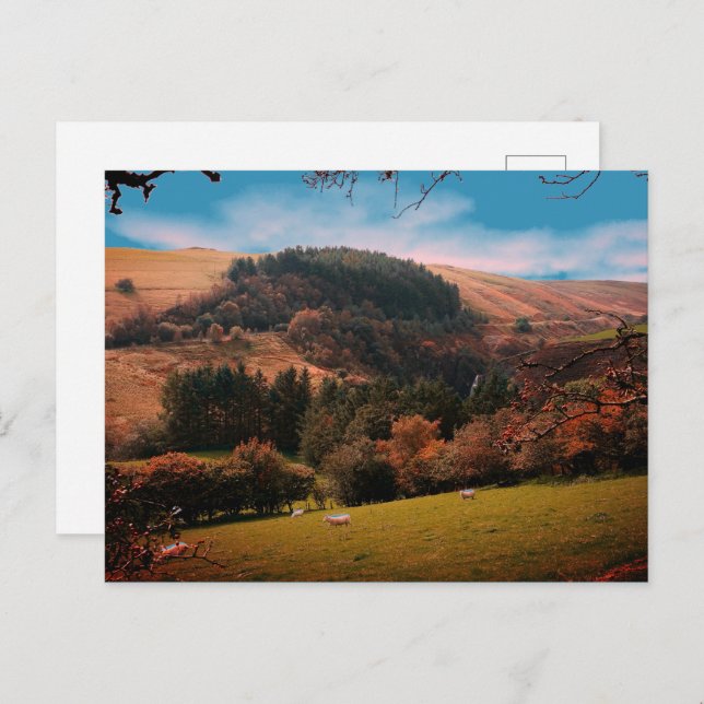 Cartão Postal Vale da Bandeira País de Gales (Frente/Verso)