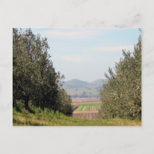 Cartão Postal Vale de negligência de San Juan