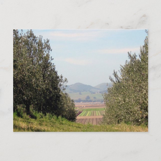 Cartão Postal Vale de negligência de San Juan (Frente)