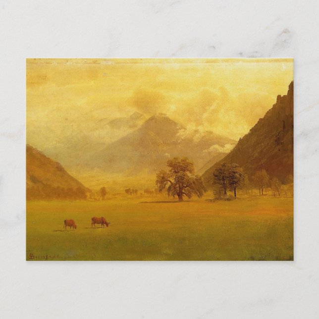 Cartão Postal Vale do Ródano (Frente)