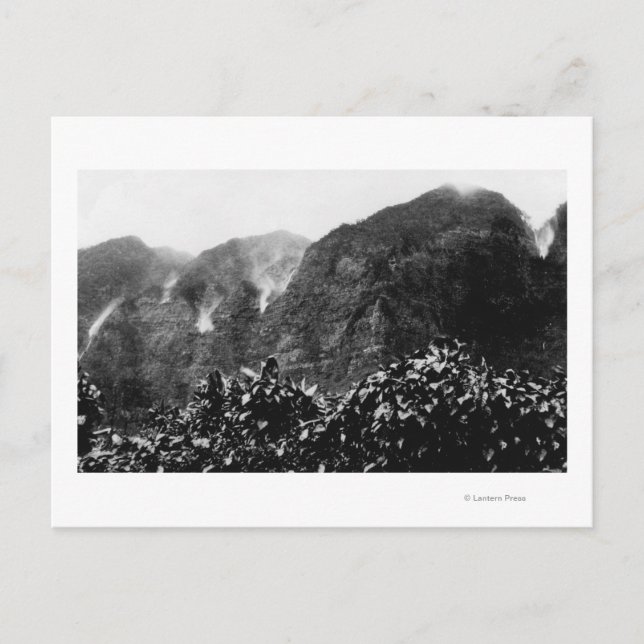 Cartão Postal Vale Nuuanu, Havaí - Vista de cabeça para baixo (Frente)