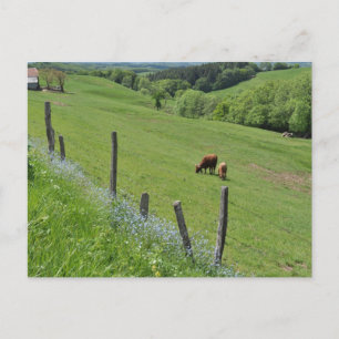 Cartão Postal Vale Wooded, Auvergne