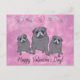 Cartão Postal Valentine do Pug Engraçado