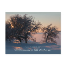 Välkommen até o inverno! Vasa Vaasa Finlândia CC08