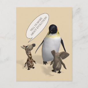 Cartão Postal Vamos Fala Sobre Evolução