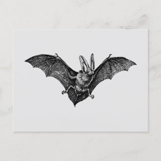 Cartão Postal Vampiro Vintage Bat Gothic