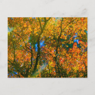 Cartão Postal Van Dusen Botanical Garden Vancouver, Canadá