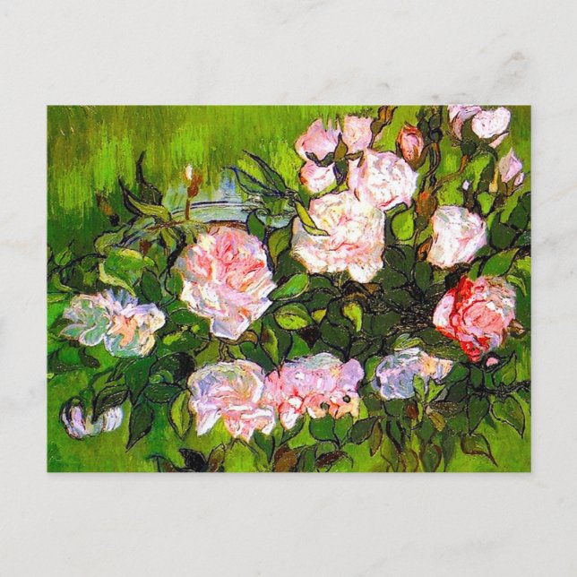 Cartão Postal Van Gogh ainda vive com rosas rosa (Frente)