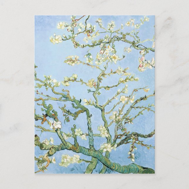 Cartão Postal Van Gogh Almond Blossoms (Frente)