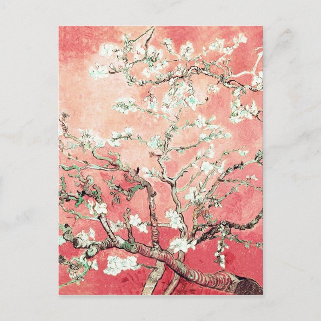Cartão Postal Van Gogh Almond Blossoms Peach (Frente)