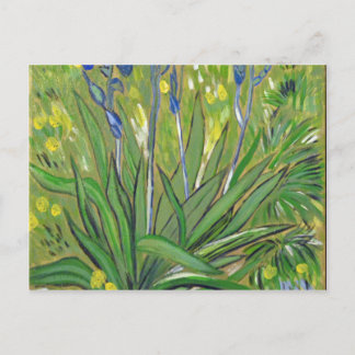 Cartão Postal Van Gogh art Irises, reprodução acrílica