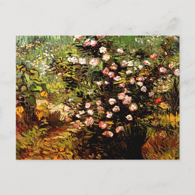Cartão Postal Van Gogh - Blooming Rosa Bush (Frente)