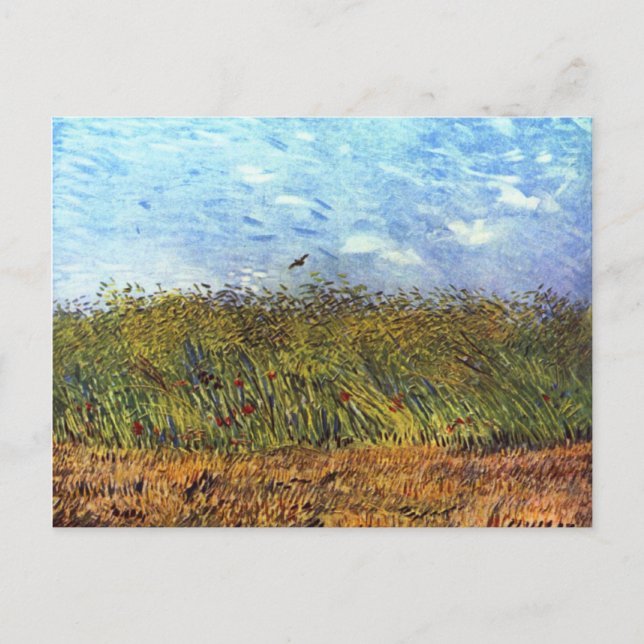 Cartão Postal Van Gogh: Campos de Trigo com Poppies e Laranja (Frente)