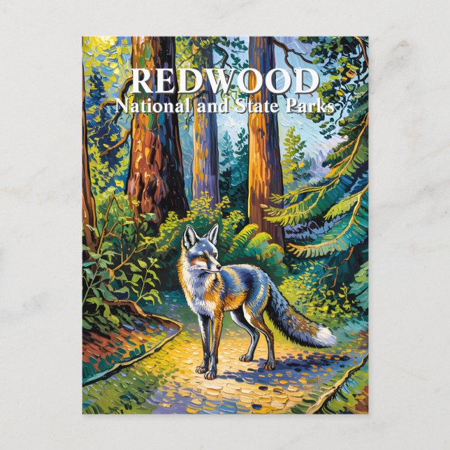 Cartão Postal Van Gogh Fox Redwood National Park Forest Custom (Frente)