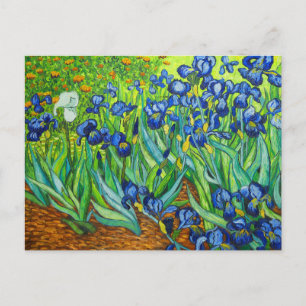 Cartão Postal Van Gogh Irises