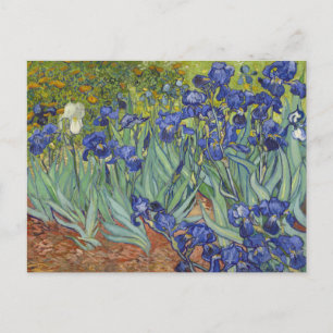 Cartão Postal Van Gogh Irises Vintage Fine Art Floral
