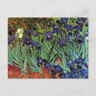 Cartão Postal Van Gogh Irises, Vintage Garden Fine Art