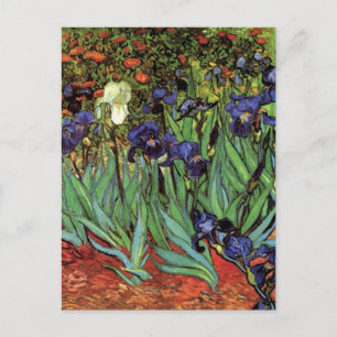 Cartão Postal Van Gogh Irises, Vintage Garden Fine Art