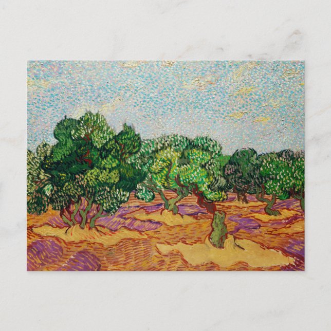 Cartão Postal Van Gogh - Oliveiras, pintura famosa, (Frente)