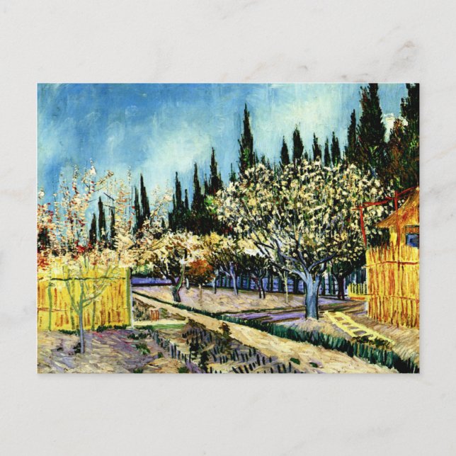 Cartão Postal Van Gogh - Pomar cercado por ciprestes (Frente)