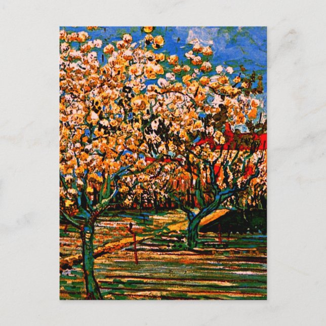 Cartão Postal Van Gogh - Pomar em Blossom (Frente)