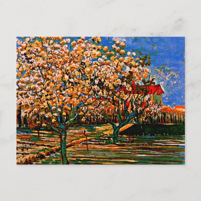 Cartão Postal Van Gogh - Pomar em Flor (Frente)