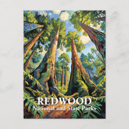 Cartão Postal Van Gogh Redwoods Park California Poster Style
