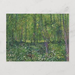 Cartão Postal Van Gogh Trees e Sub-Crescimento