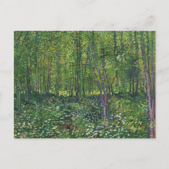 Cartão Postal Van Gogh Trees e Sub-Crescimento (Frente)