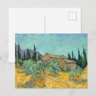 Cartão Postal vanGogh Huts cercado por oliveiras e ciprestes